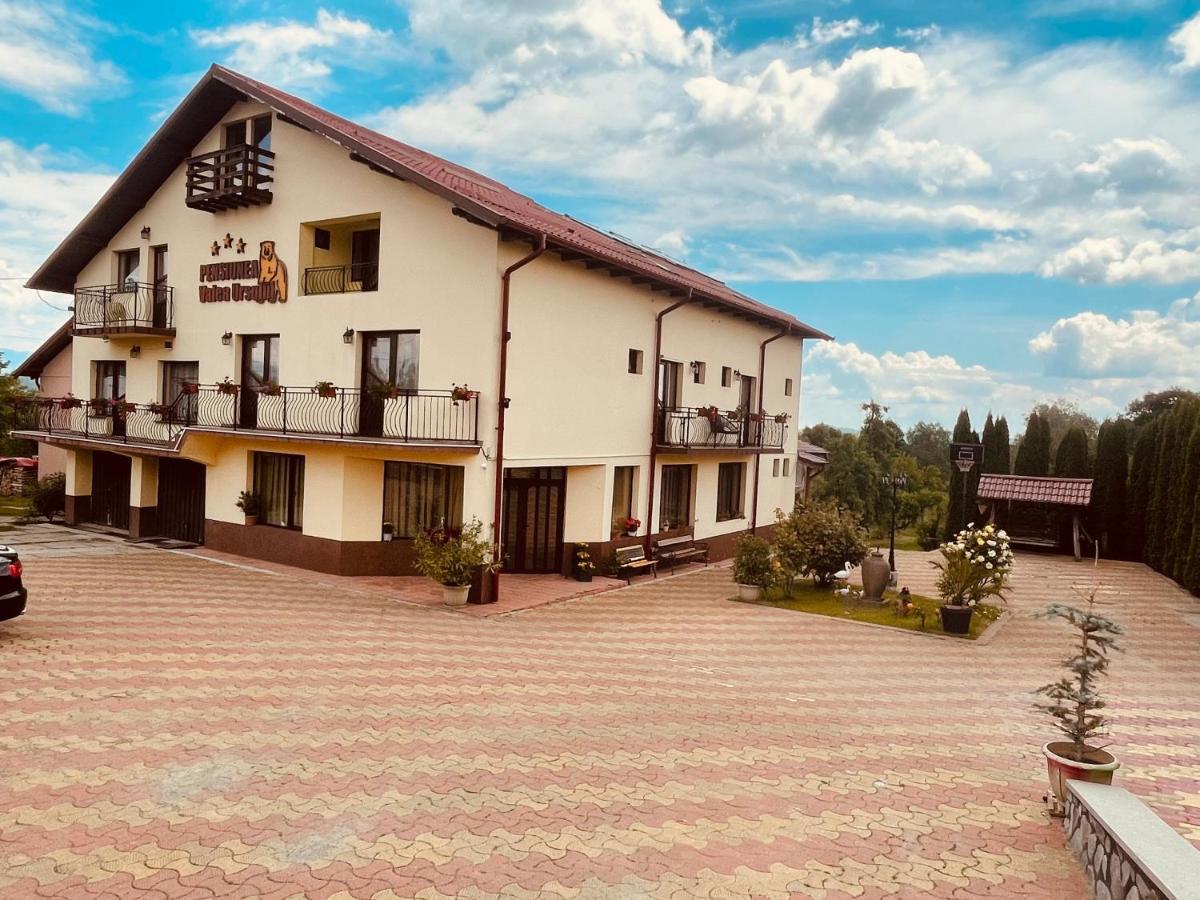 Pensiunea Valea Ursului Къмпулунг Екстериор снимка
